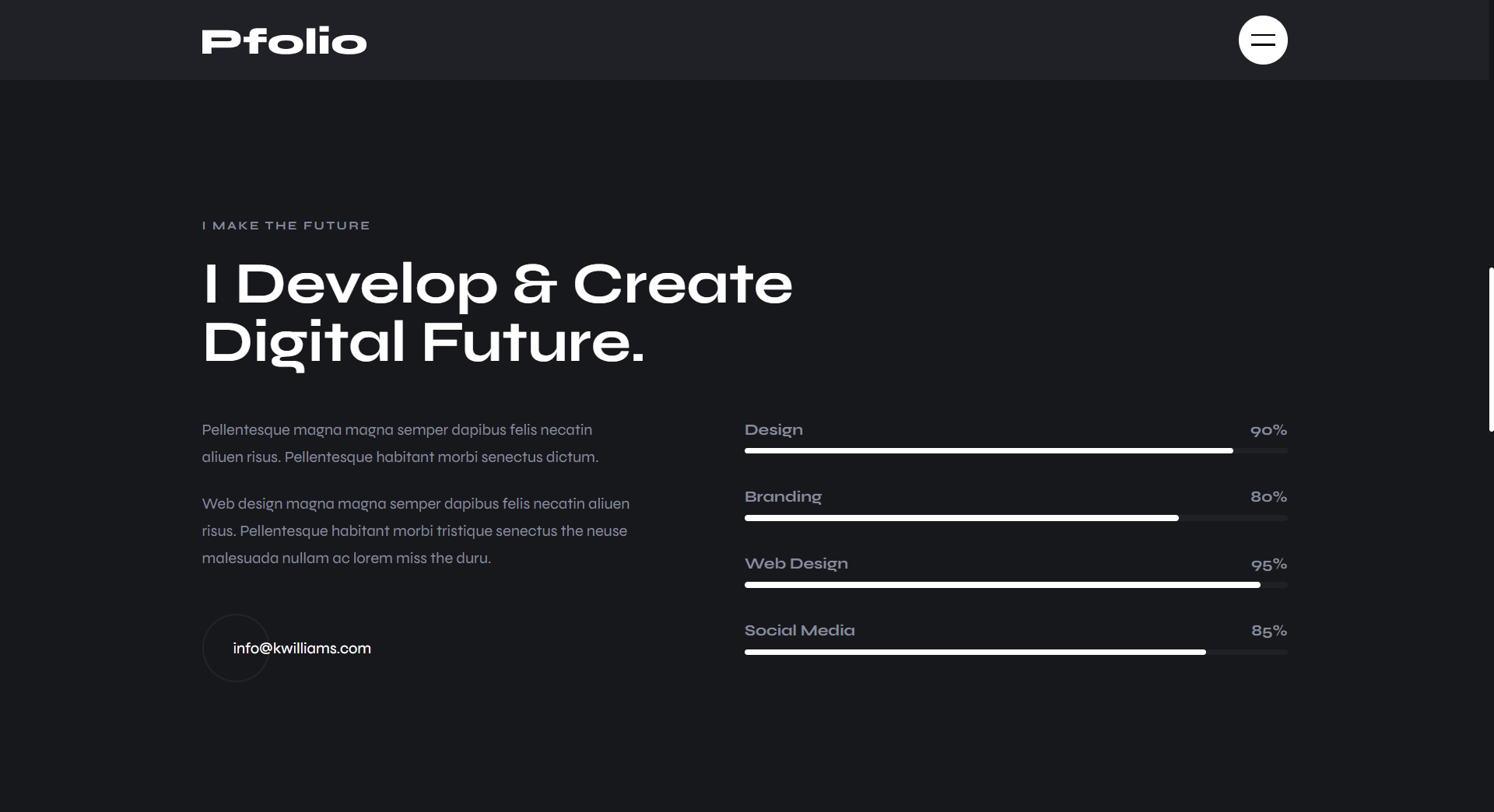 Portfolio Image